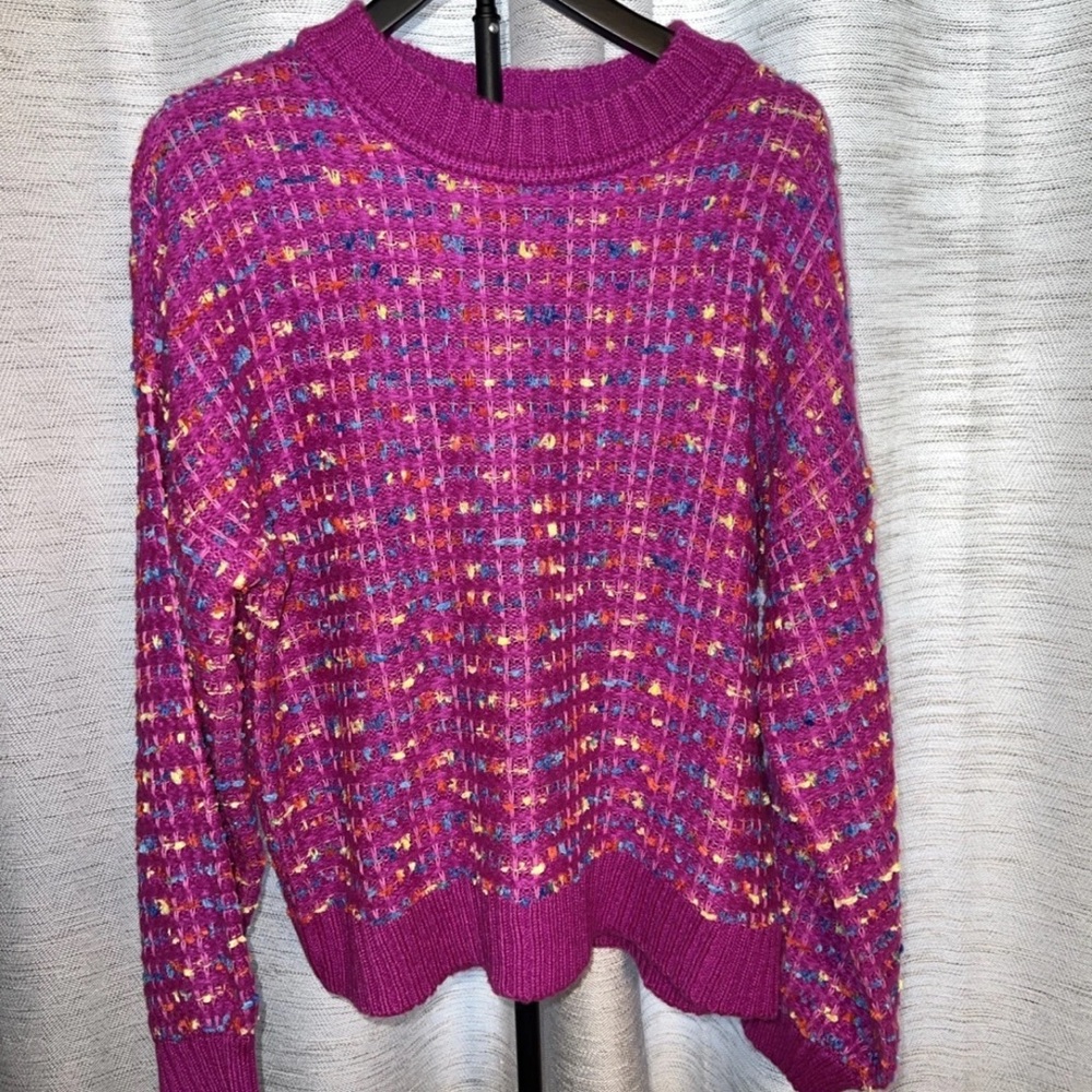 Women's Purple Multicolor Knit Sweater